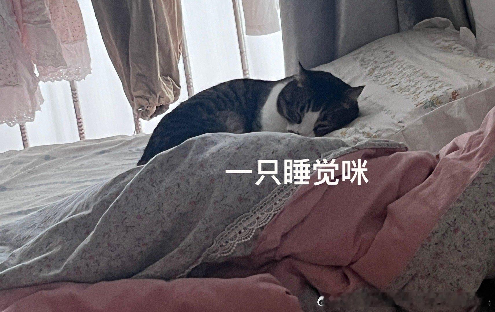 日常  怎么一直下雨！亿点曝光计划