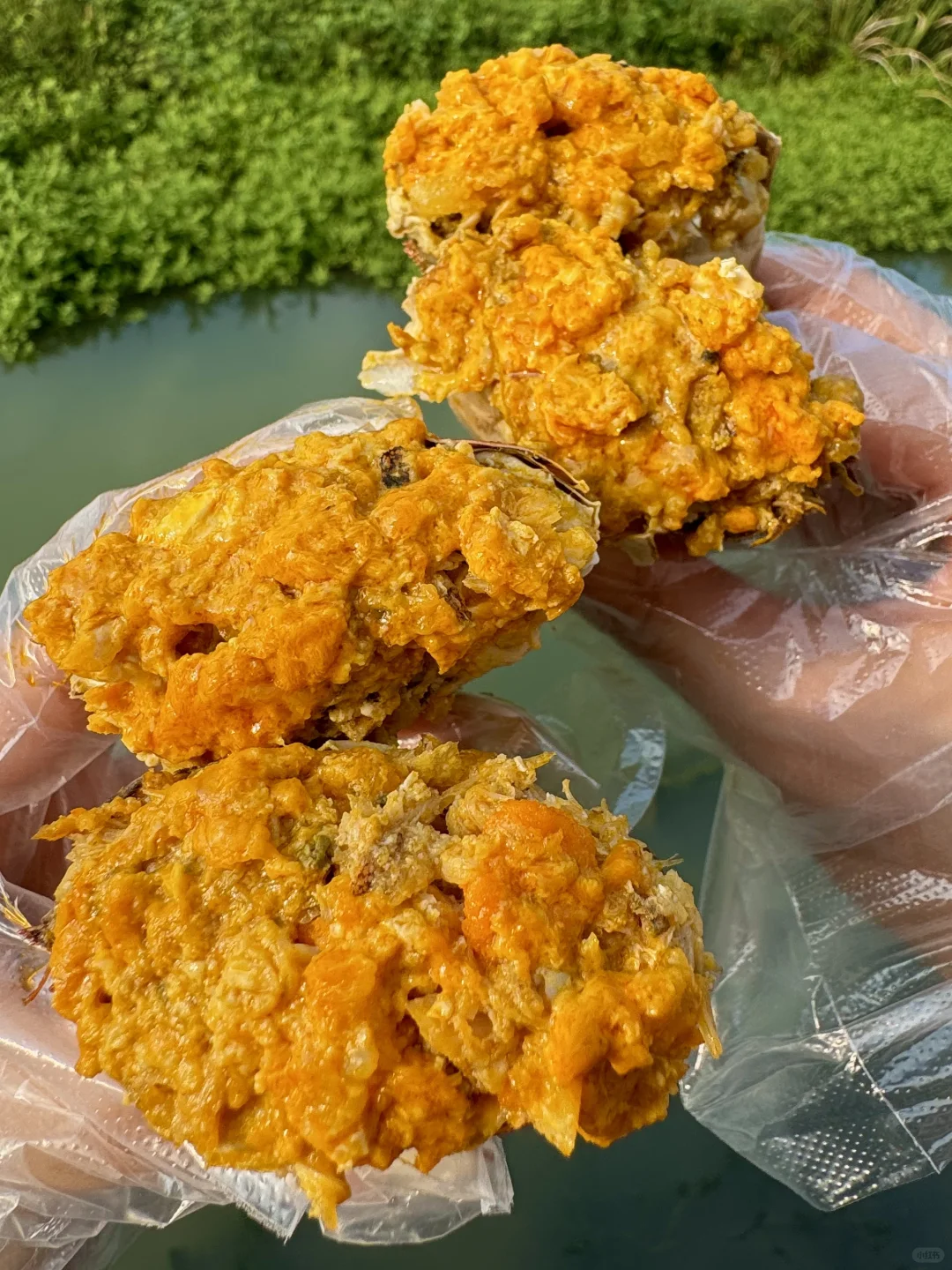 （阳澄湖）最牛逼的大闸蟹🦀谁懂！！！！