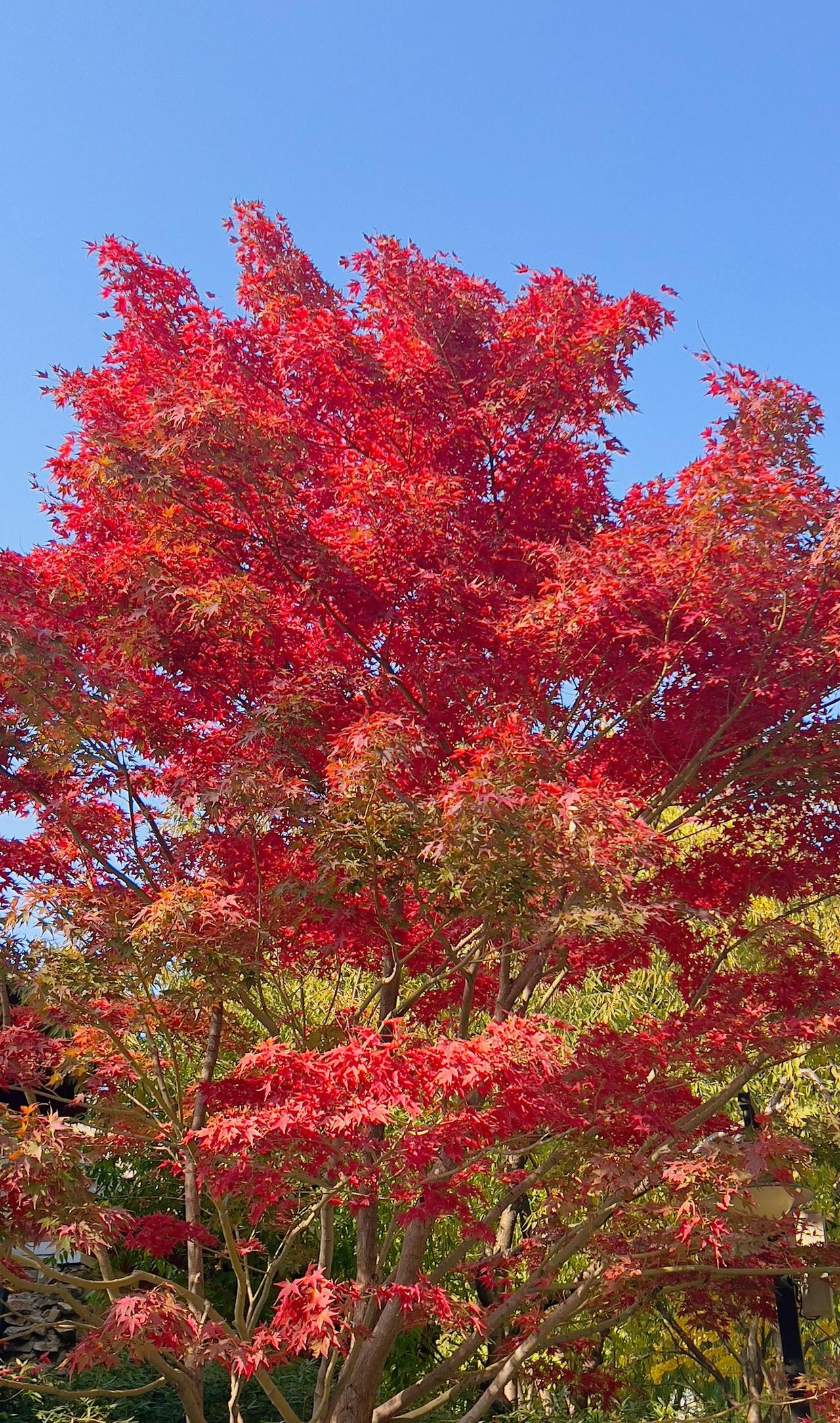随手拍的最美丽的照片