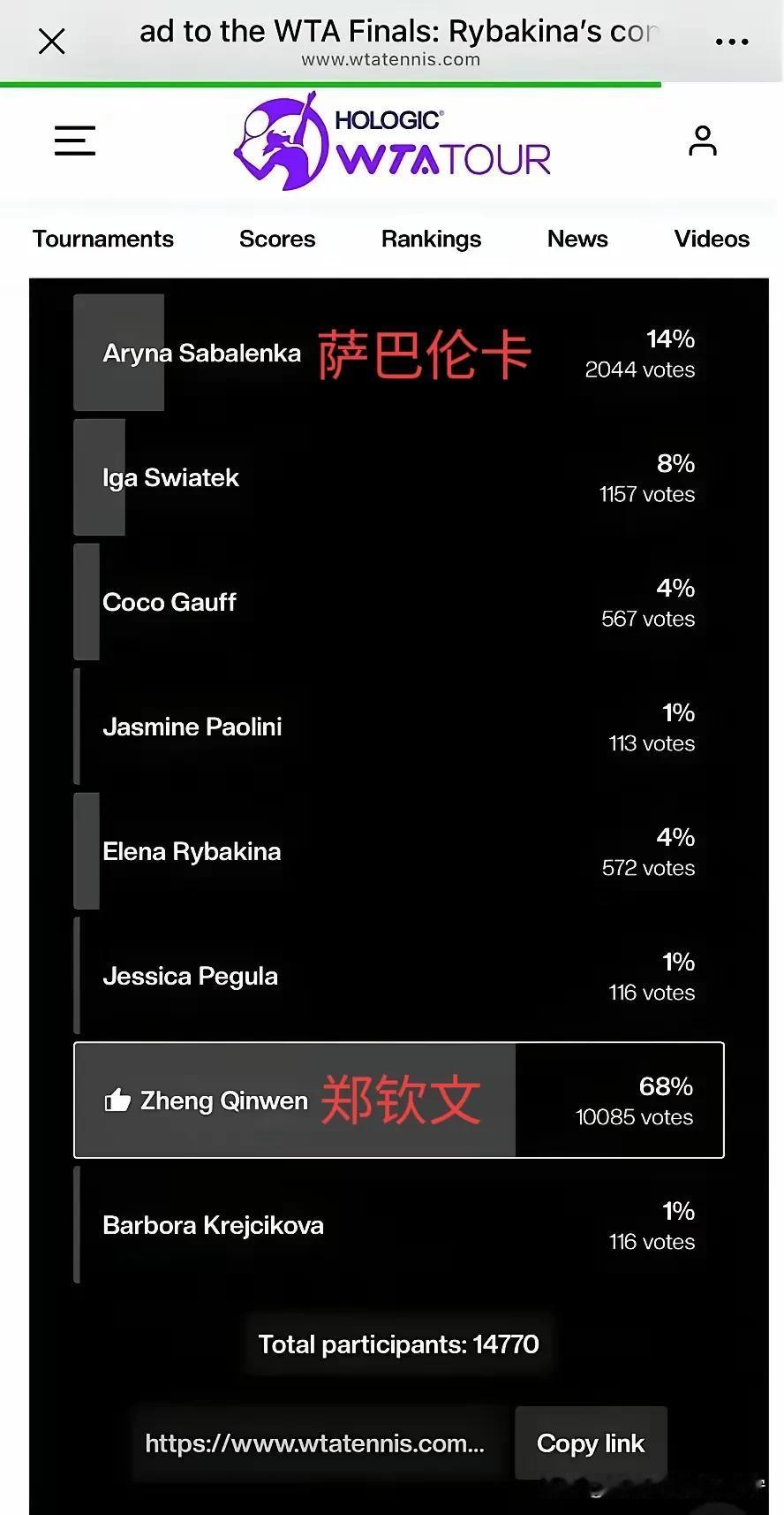 如果投票能决定冠军的归属，那么我们的莎莎早就是奥运冠军了！
     WTA年终