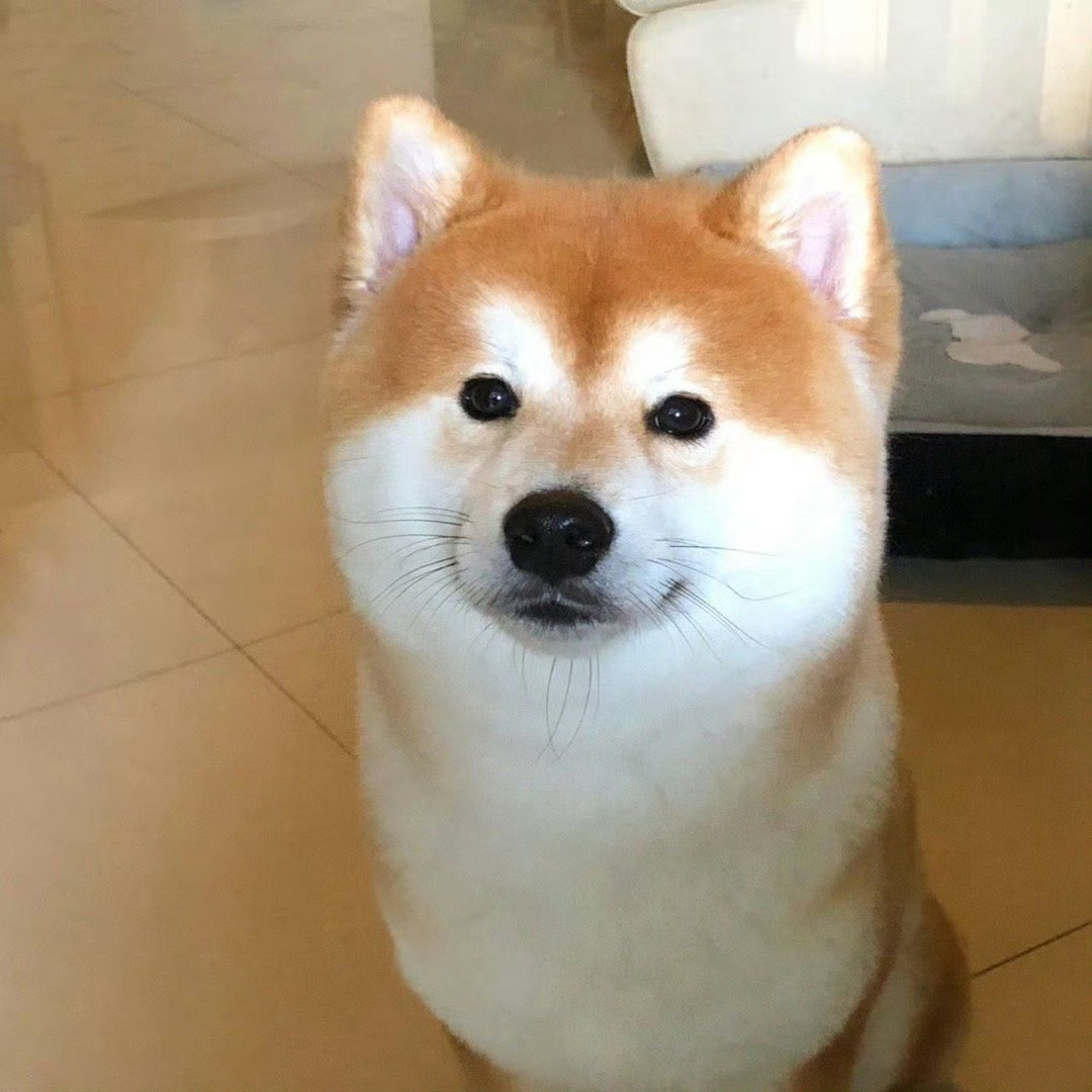 又方又圆[拜托] ​​​