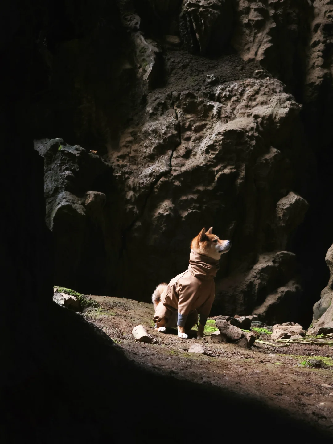 在安顺⛰带小狗轻徒步探神秘溶洞