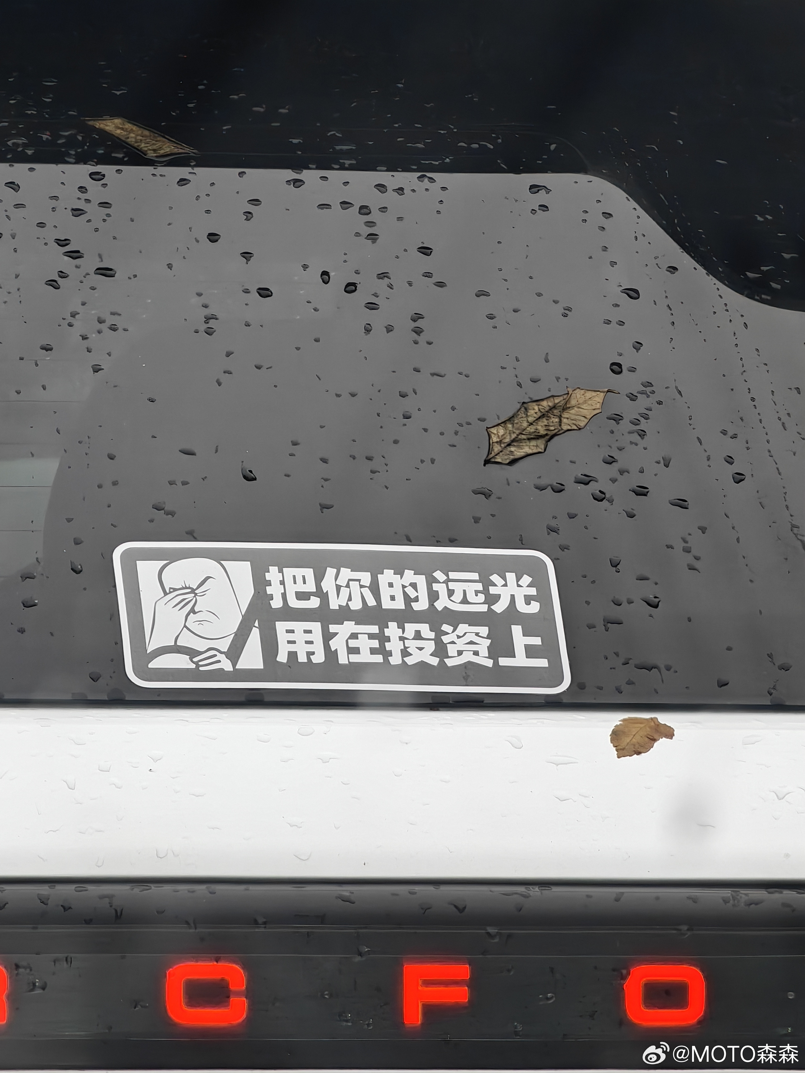 🔻好大v聊车