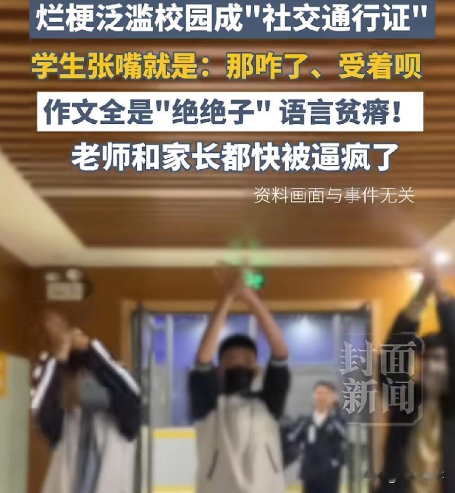 央视怒批！
斥责网络烂梗已经霸占了校园，成了孩子之间的"社交通行证"。
不会说"