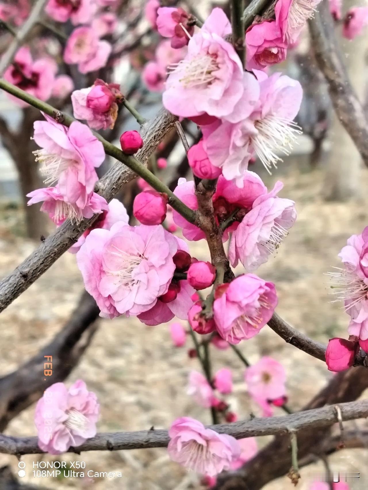 老师生气可以讲脏话吗?老师也是人，他也有七情六欲，有时心情不好，在自己不知情的情