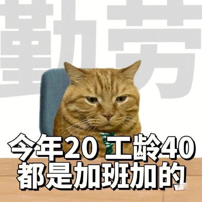 最近爱用的表情包 ～ ​​​