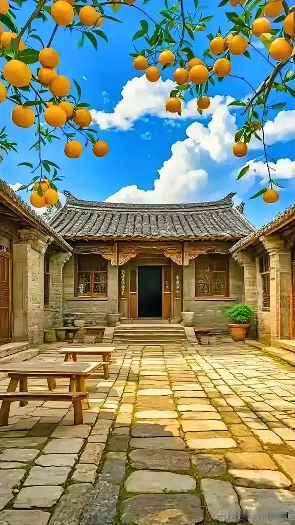 农村发展最缺的东西还挺多。人才是关键，现在青壮年都往城里跑，农村老龄化严重，像懂