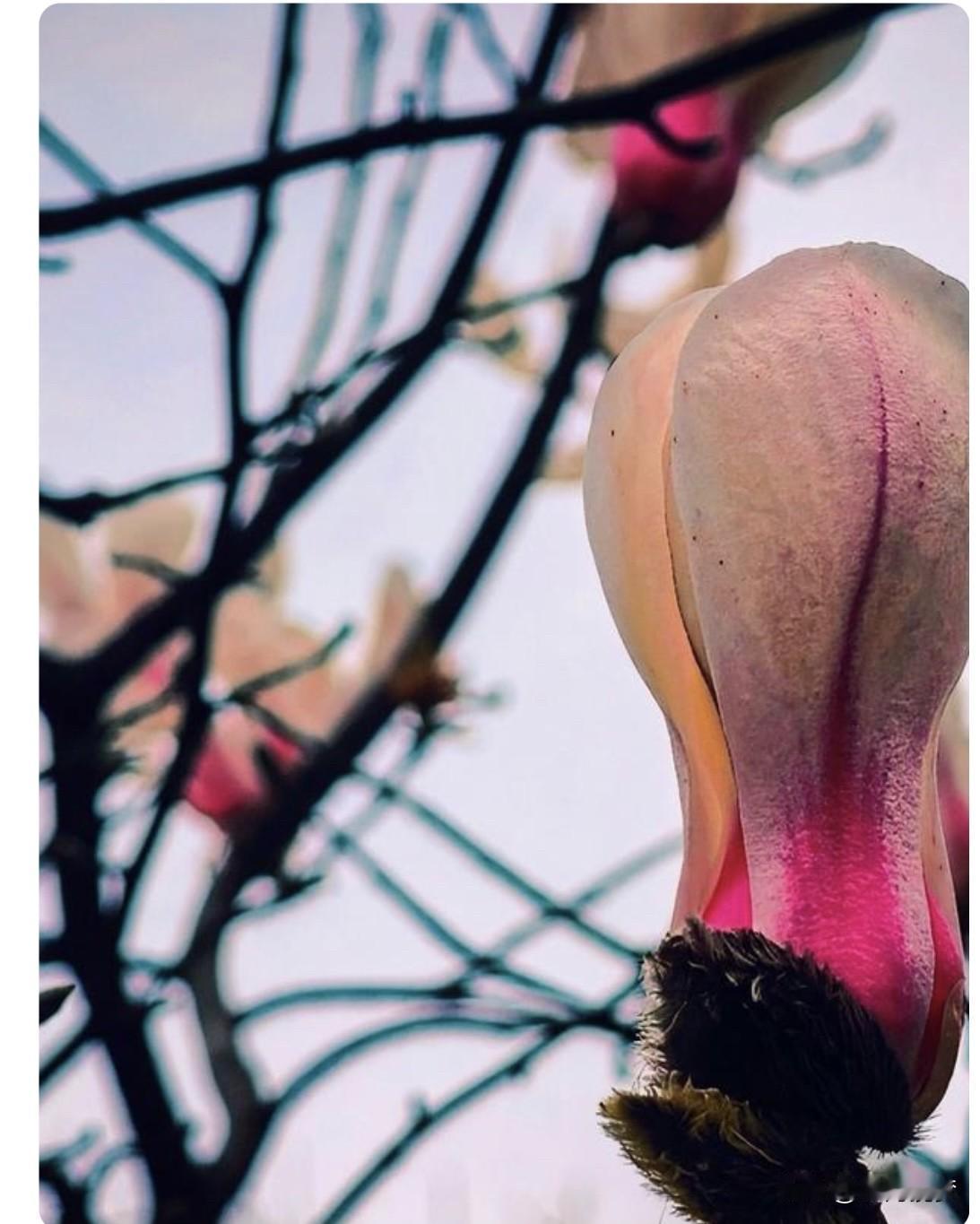 母亲对女儿和儿媳谁更好，这事儿还真不好说。
从情感上，母亲对女儿那肯定是打小就疼