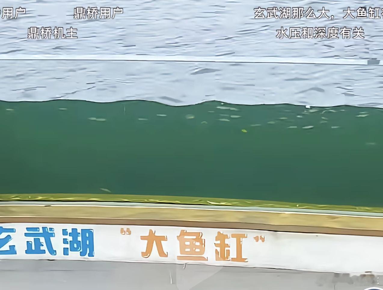 不是，一个“玄武湖”也能冒出来一堆刷鼎桥的啊，真是开了眼了。。。 