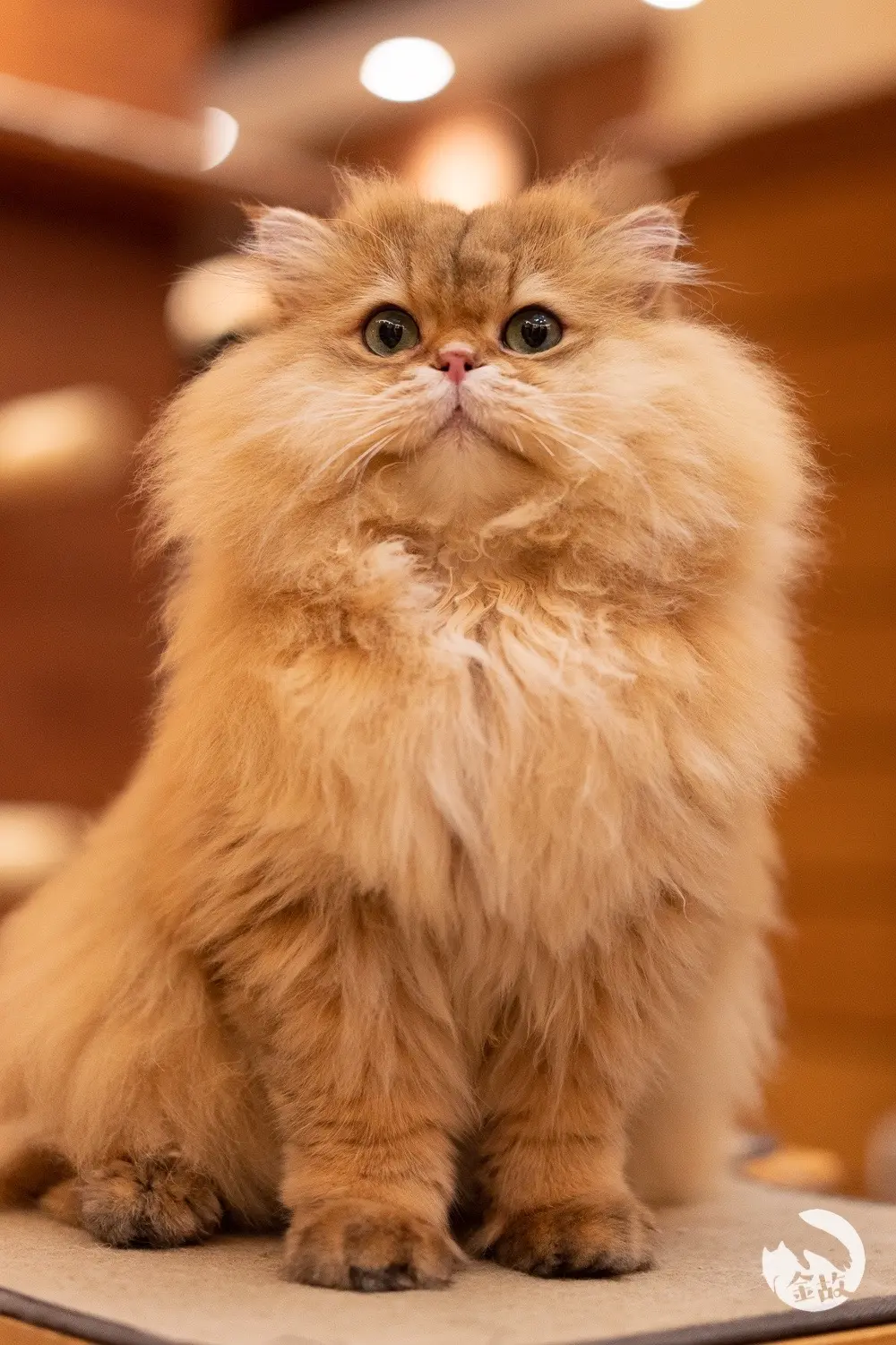 之后的每一天，都是晴天☀️。