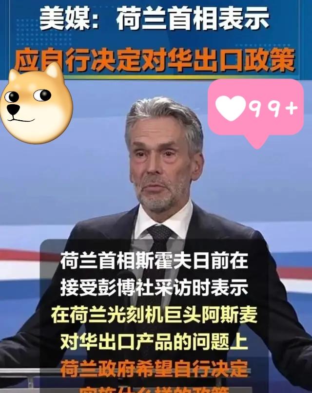 快讯！快讯！
荷兰突然宣布了！

好家伙，荷兰ASML这回真遇到难题了！就在他们