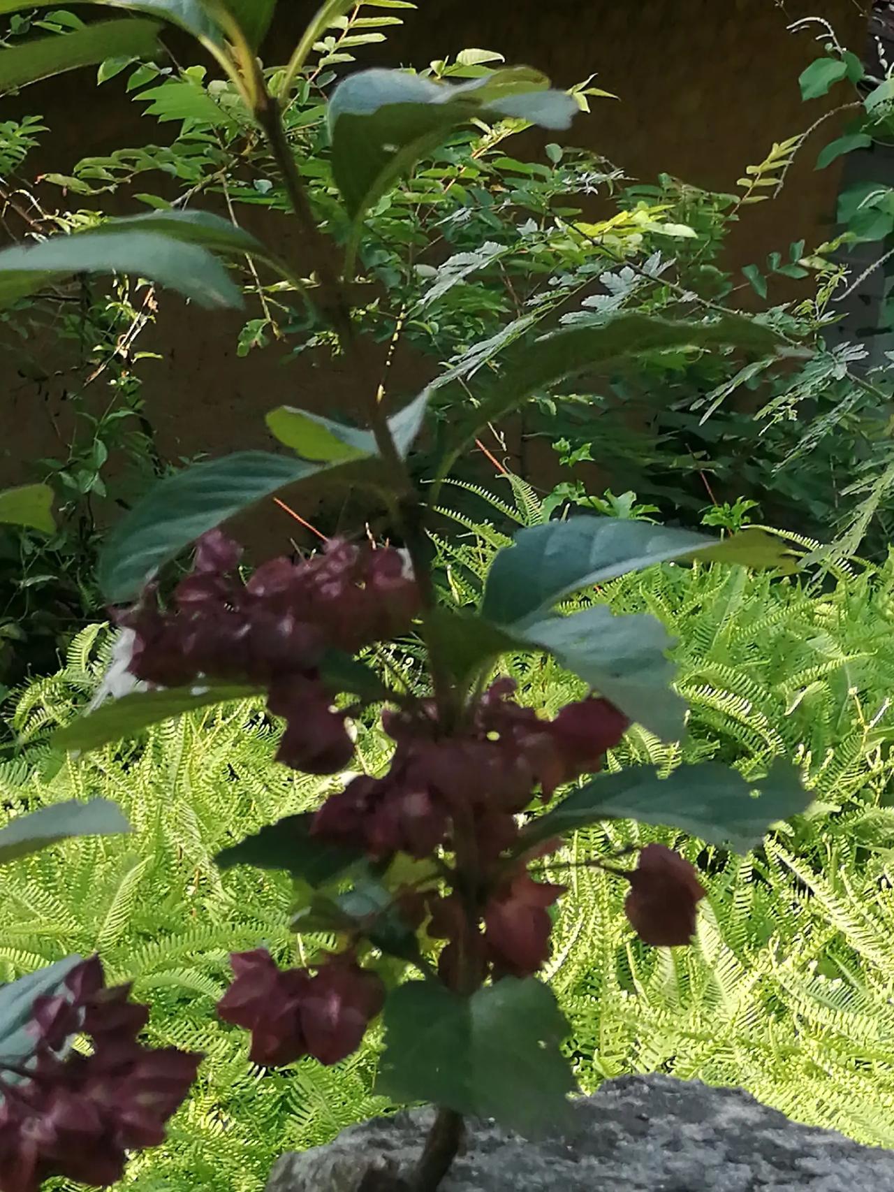 是谁在眼红？教师暑假假期旅游，学校禁止晒朋友圈炫耀，到底是谁在搞各种对立呢？教师