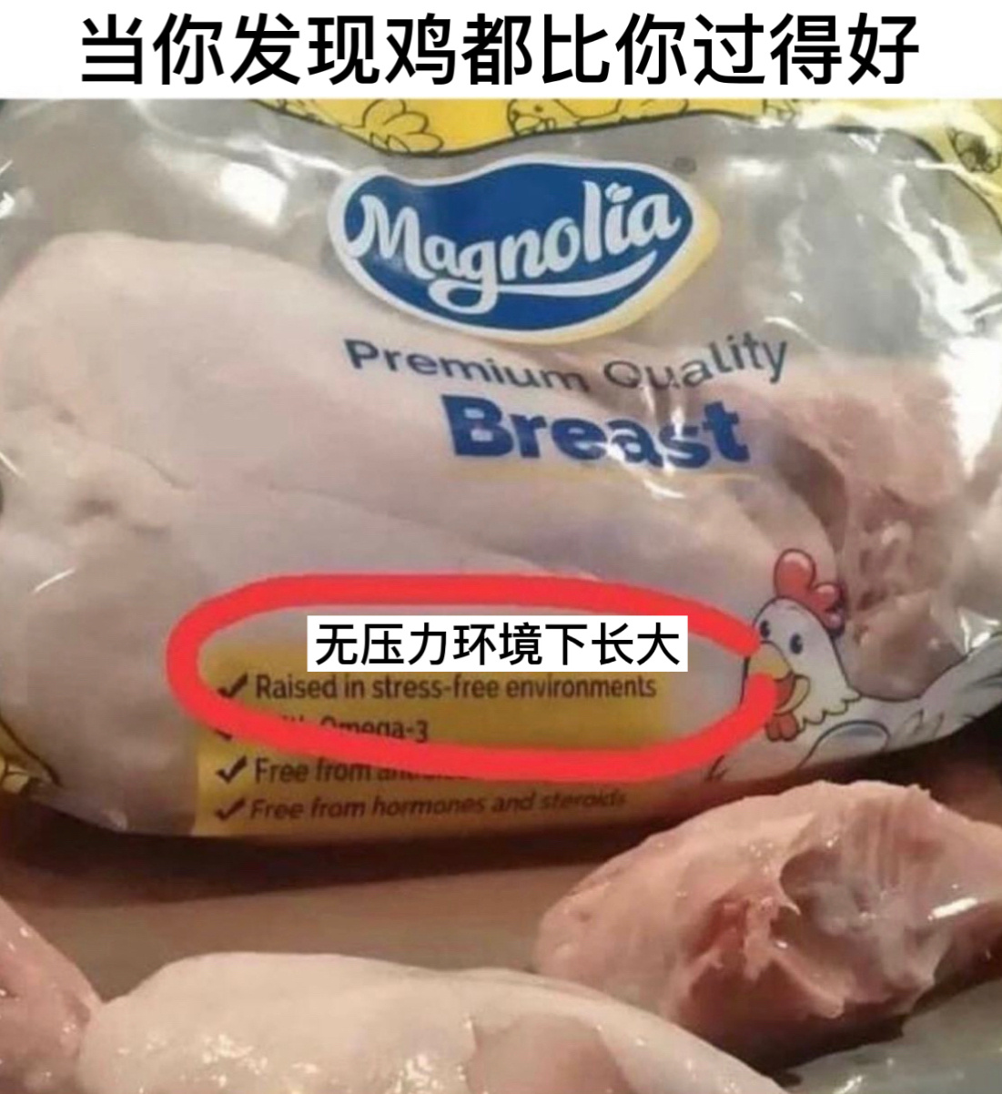 生不如鸡#今日memes# //#我的幽默搭子# //#定格# ​​​
