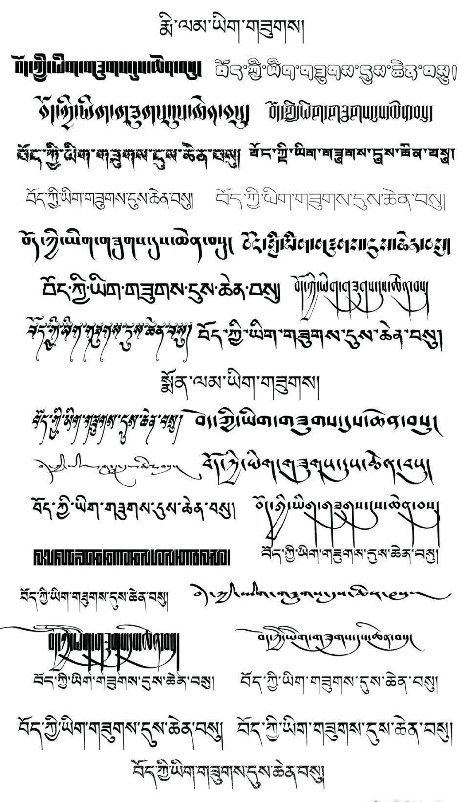 千余年来，藏文书法经过不断的发展演变，出现了多种字体，形态各异，从形体线条造型和