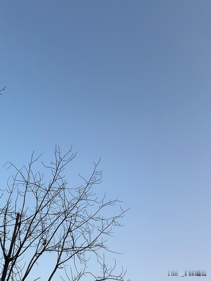 冬日生活打卡季冬日的蓝天格外珍稀