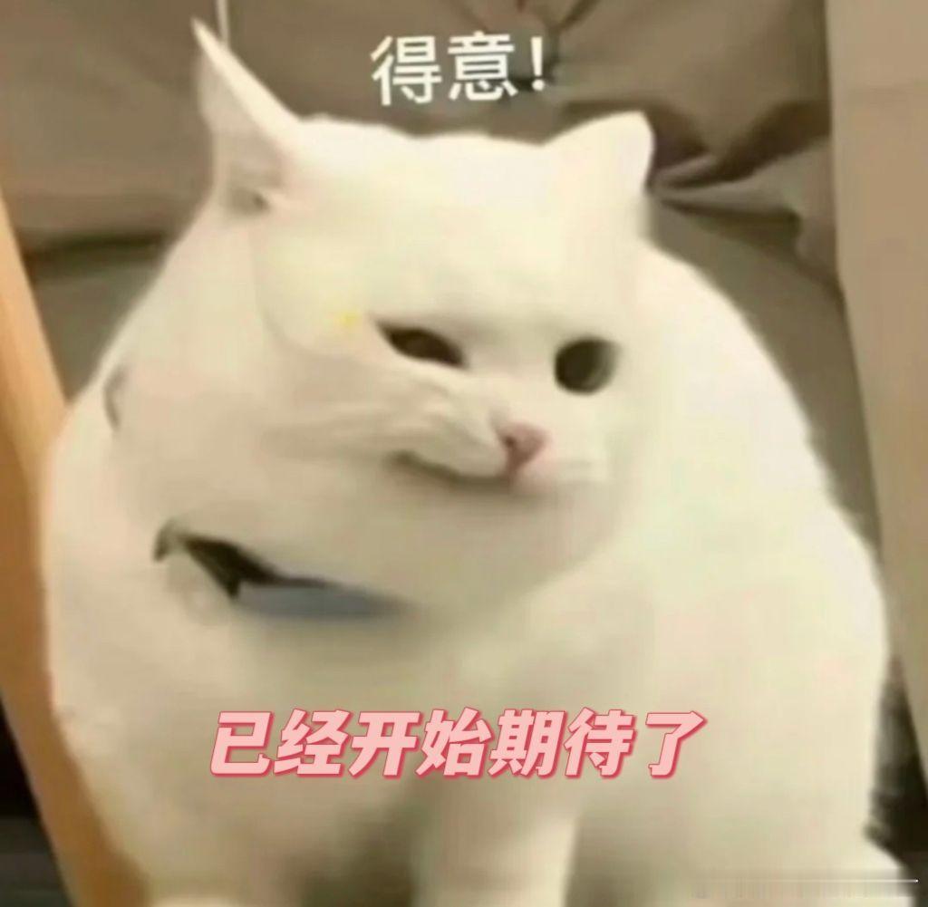 知道华为Mate X7要有大动作，但没想到这么狠！11 月 19日上午 12点0