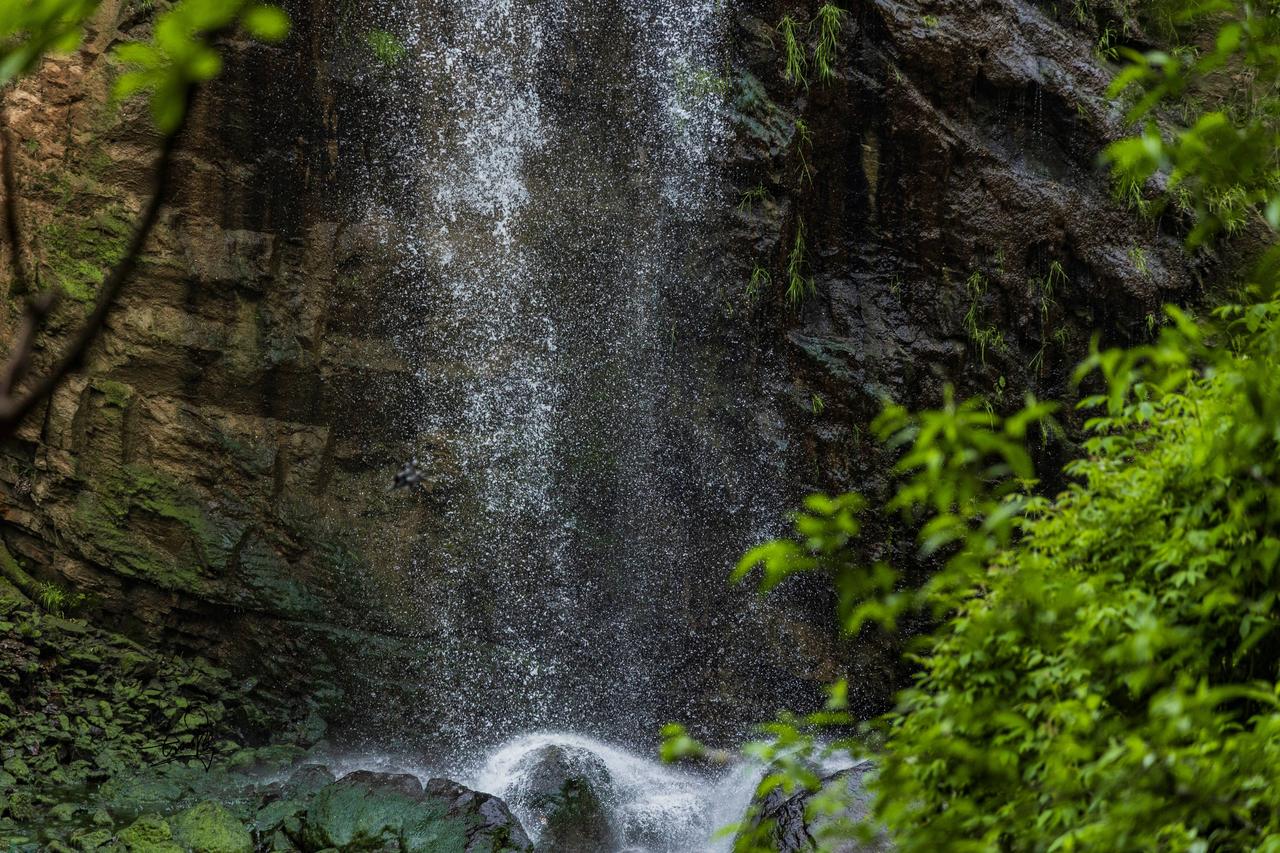 🌳陇南成县西狭颂 | 藏在深山的绝美秘境

一进西狭，青山对峙，涧流清澈见底，