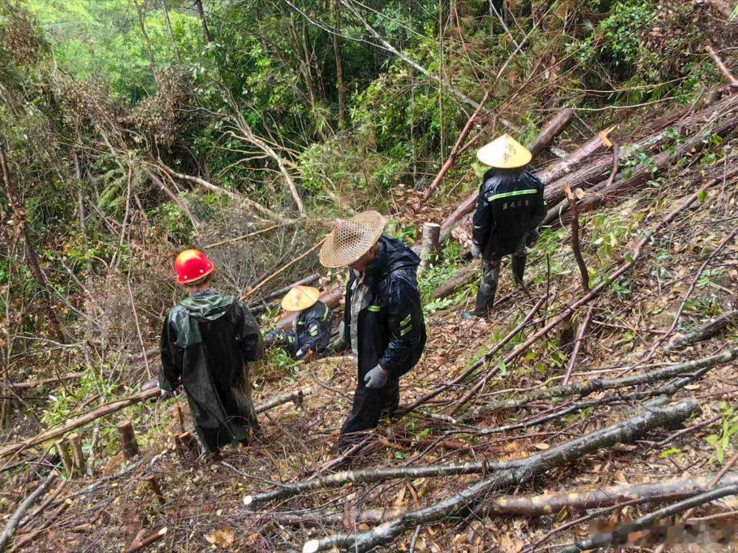 闽浙山水相连，危难时刻互帮互助，这才是最好的邻里情一封来自福建的抗台感谢信