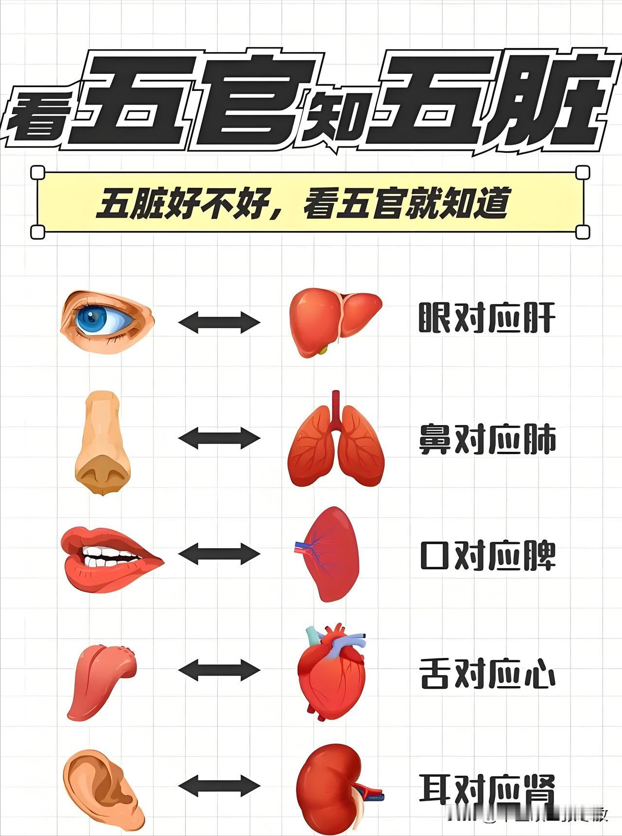 五脏好不好，看脸就知道。身体健康与否，一下就明了

一、心对舌
舌头泛白——心血