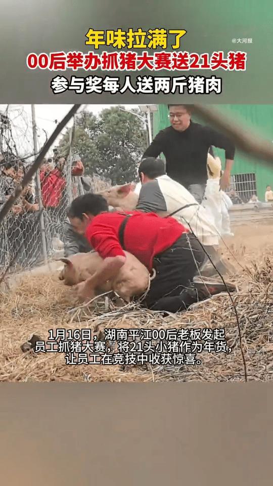 00后举办抓猪大赛送21头猪一工厂办抓猪赛送21头活猪 00后还真是会玩，只能说