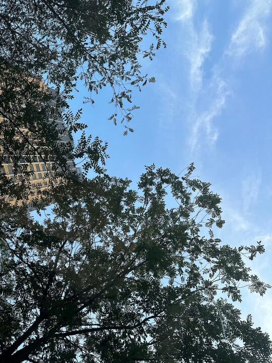 看看你们的蓝天白云☁️