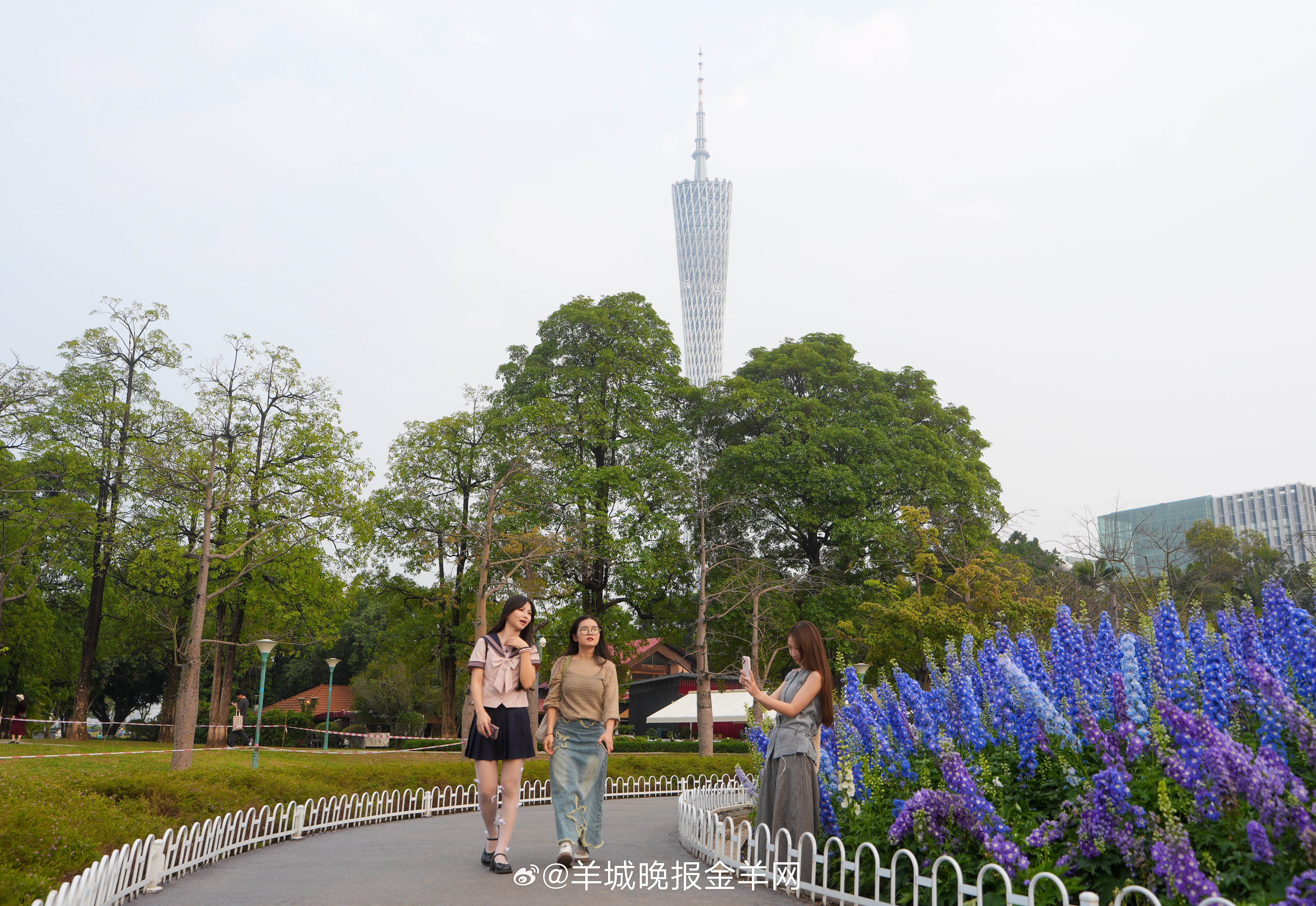 #早安# 过好每一个今天，把行动交给现在，把结果交给未来。 