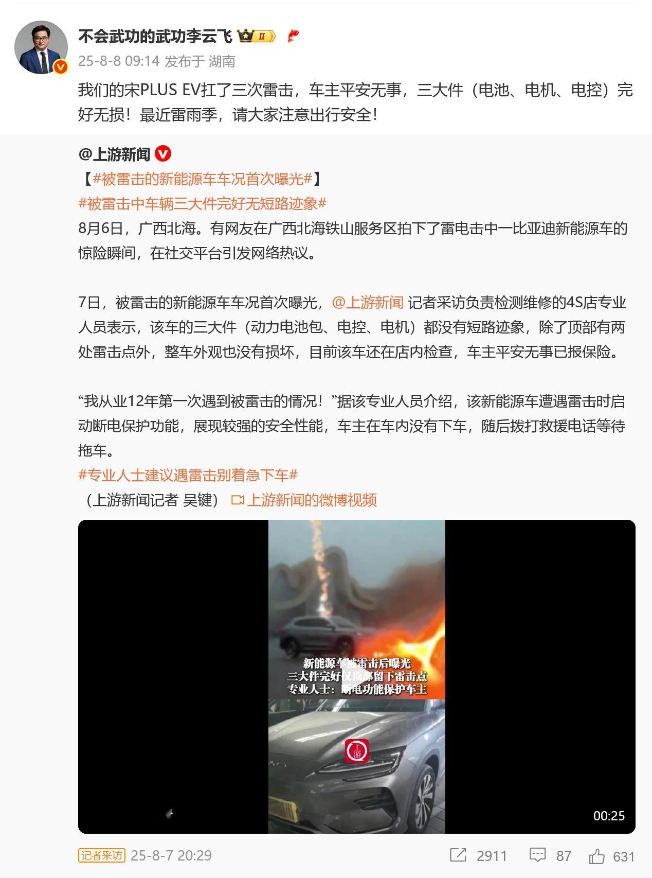 新能源车、被雷击、三大件无短路，车主平安无事。这几个词光是放到一起都感觉头皮发麻