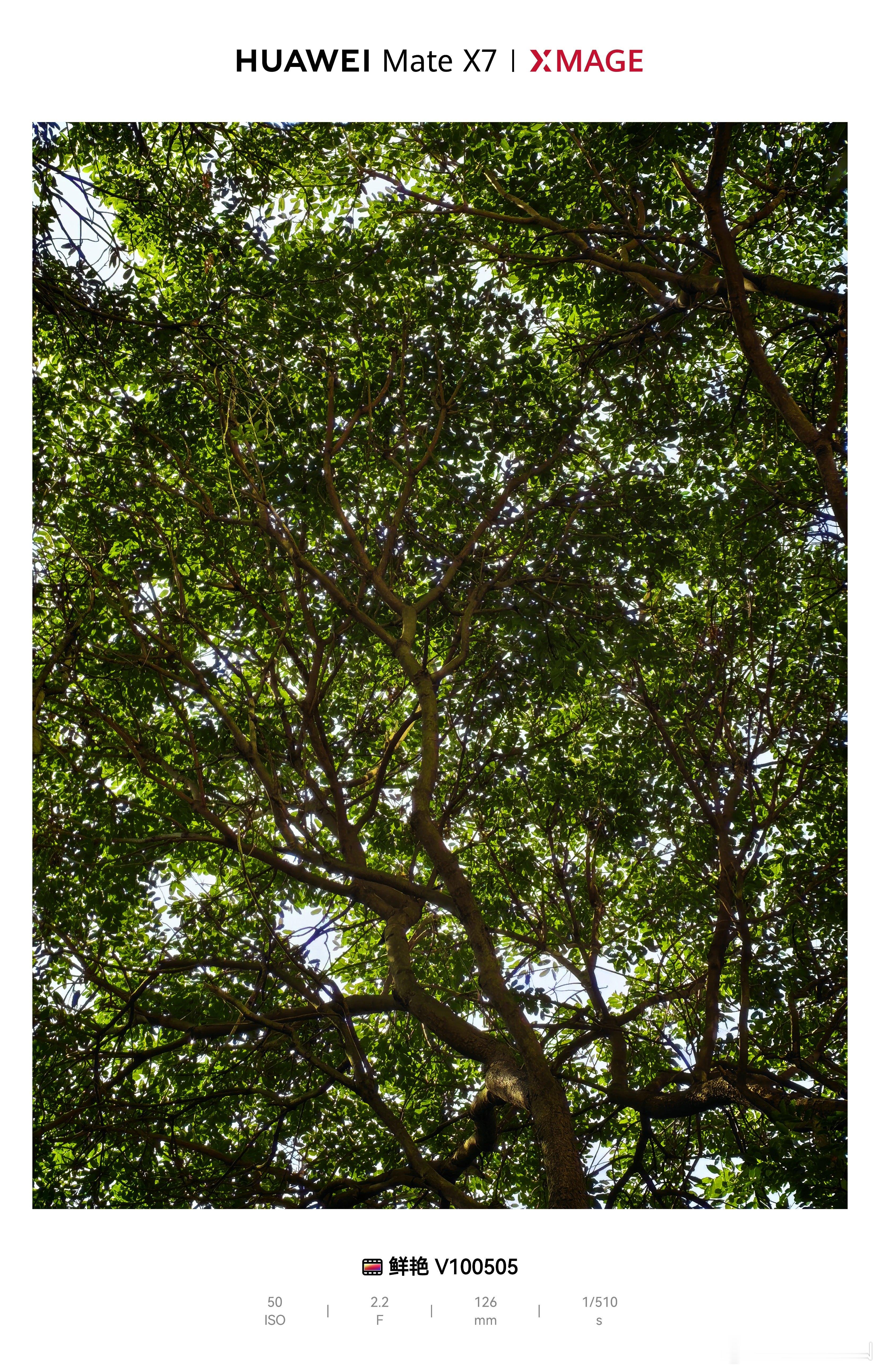 要不要先看看华为Mate X7典藏版的摄影表现？ 深圳·深圳东海朗廷酒店