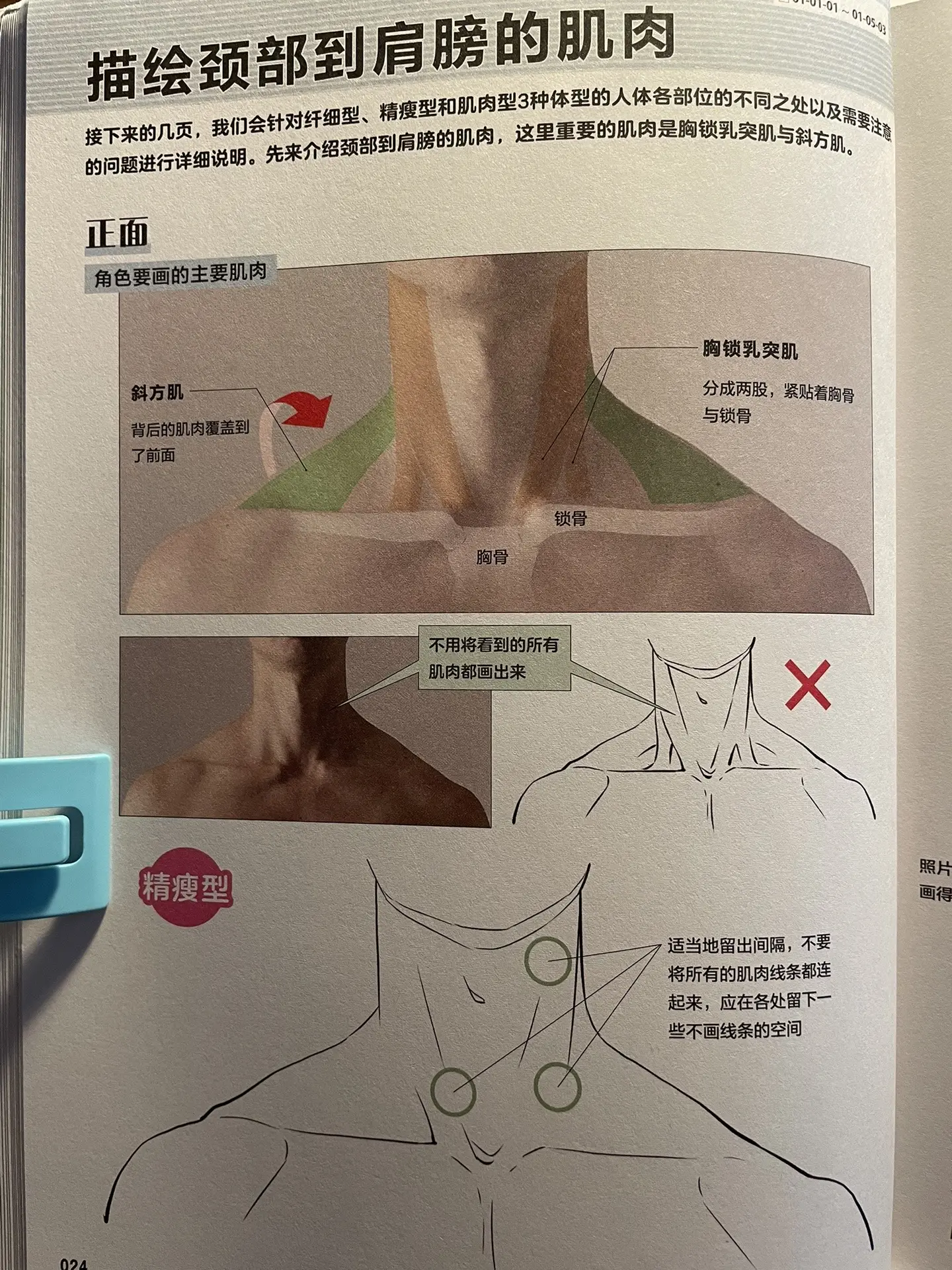 关于肌肉的表现。这本书很重要的一个观点就是主观处理绘制的对象