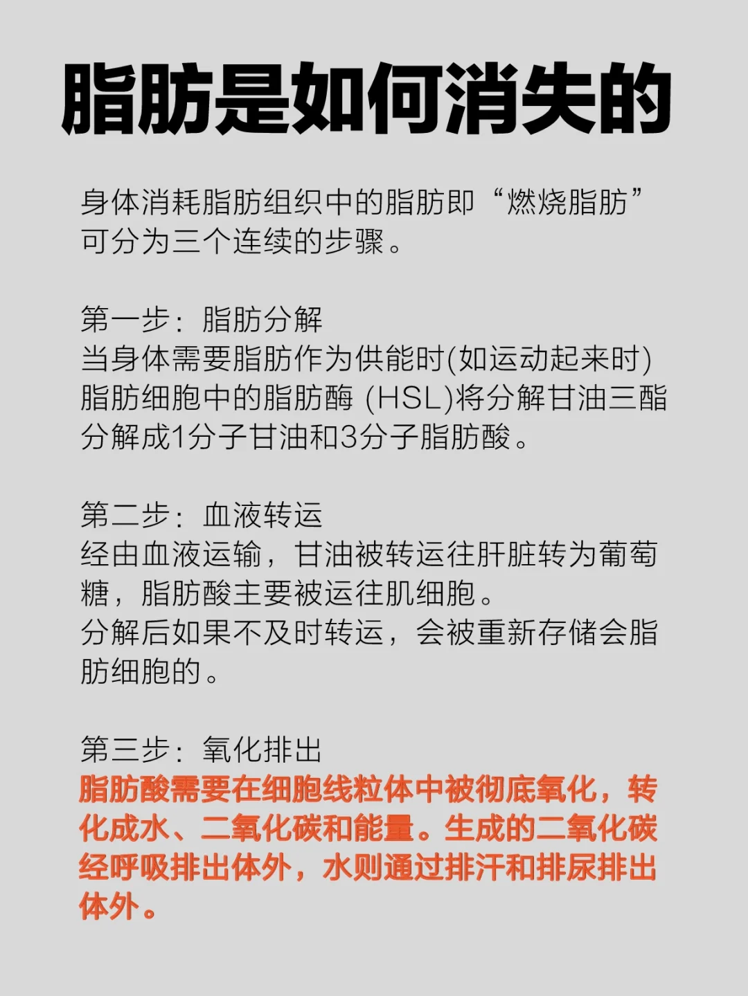 【减肥必看】变瘦真相🔥脂肪是如何排出体外的❗❗ 了解脂肪的形成， 从...