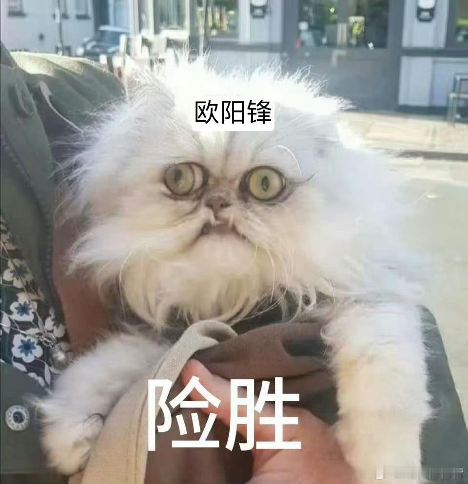 网友议，2025春节档电影口碑如下：哪吒＞射雕＞熊出没＞唐探＞封神2＞蛟龙你认同