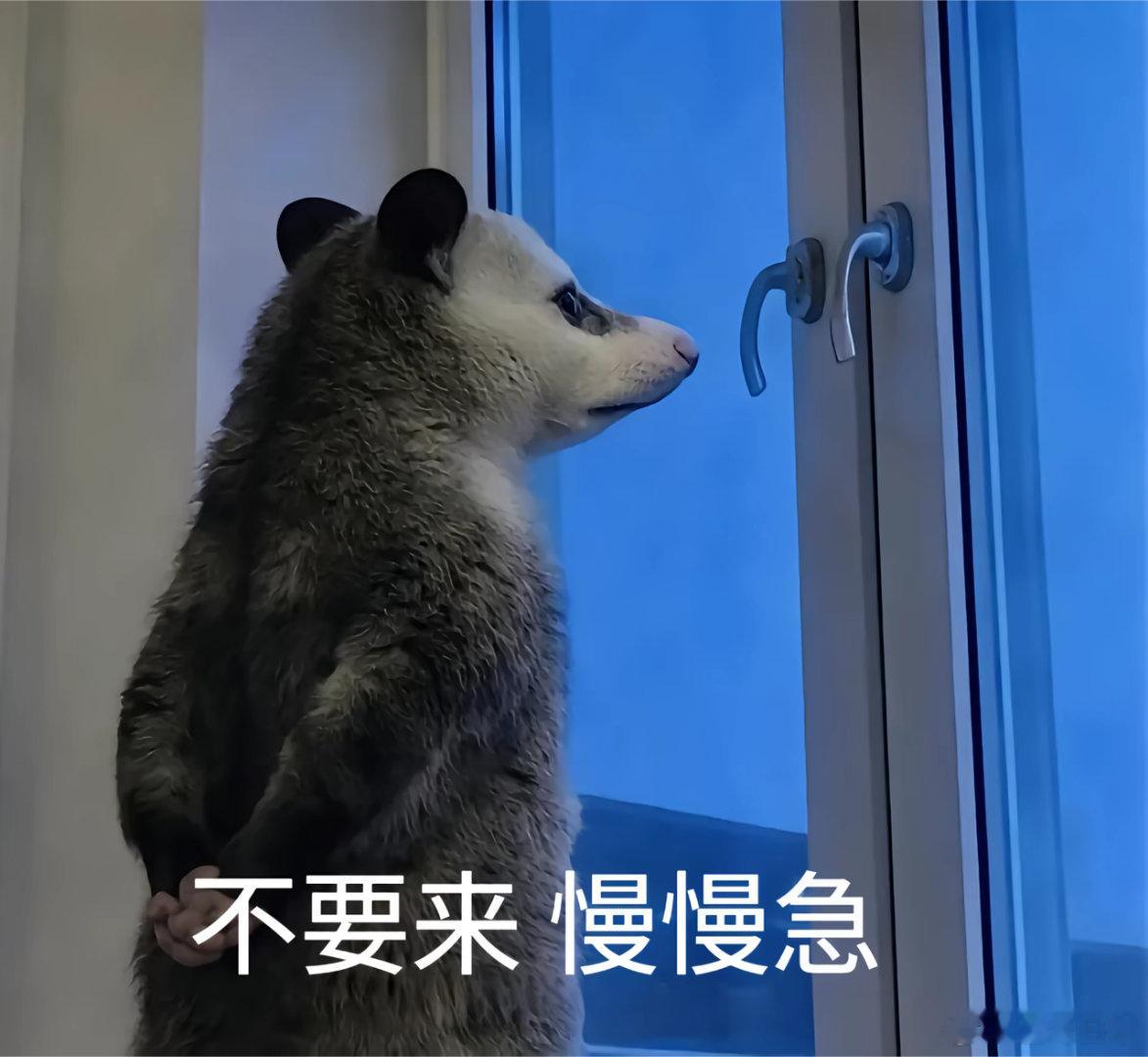 长鑫科技上市冲击海力士  按理说，利好国产存储产业链。可大A不按常理呀。早盘日韩