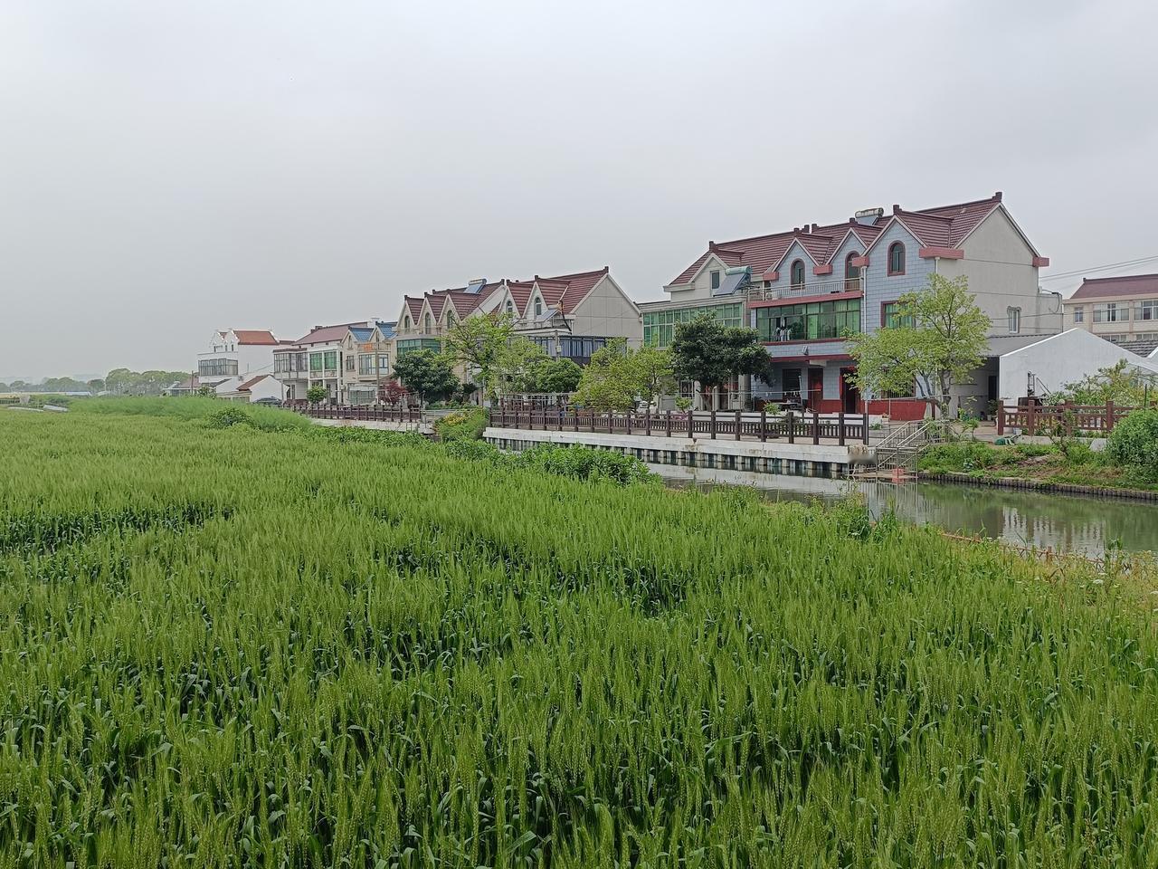 可以发一张你拍的乡村风光吗