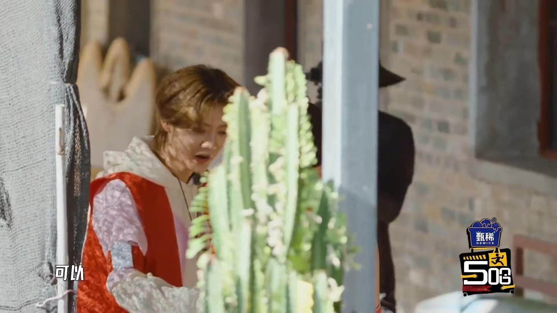 鹿晗任敏弄邓超放过邓超这个五旬老人吧哈哈哈哈哈五哈总能用简单的游戏环节制造欢乐，