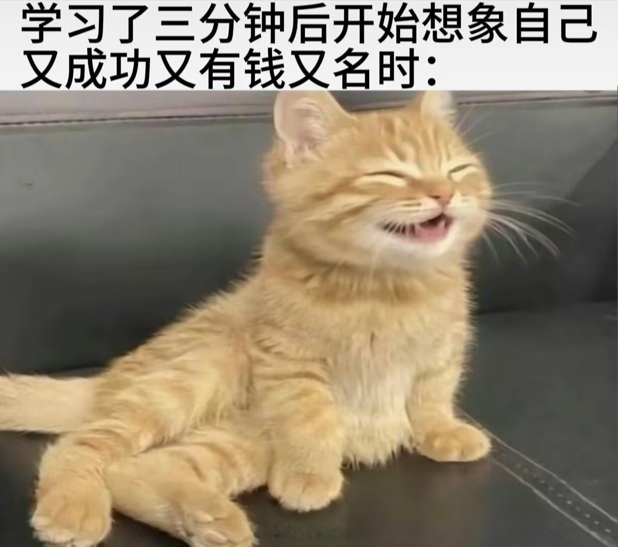 我感觉我每天就这个状态 