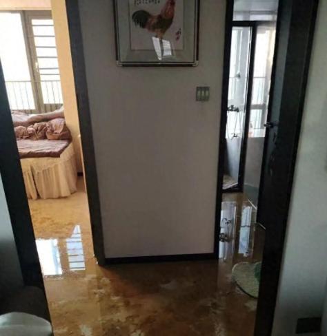 深圳龙华，一女子刚装修好的新房，突然被粪水倒灌全屋，物业一句话让她傻眼！

田女