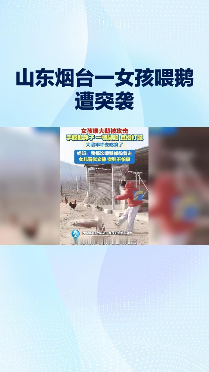 2月5日，山东烟台一女孩在喂鹅时被突然袭击，竟然冷静反击，将鹅打服。这一幕在网络