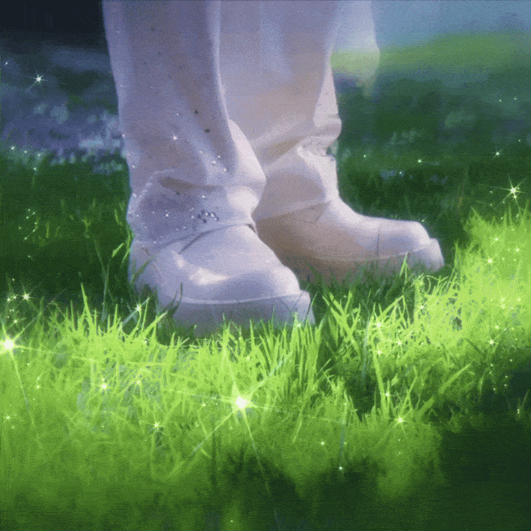 周深  周深2026深深的巡回演唱会 【圈宝和米说早安】梦在故事一端发芽，风拂过