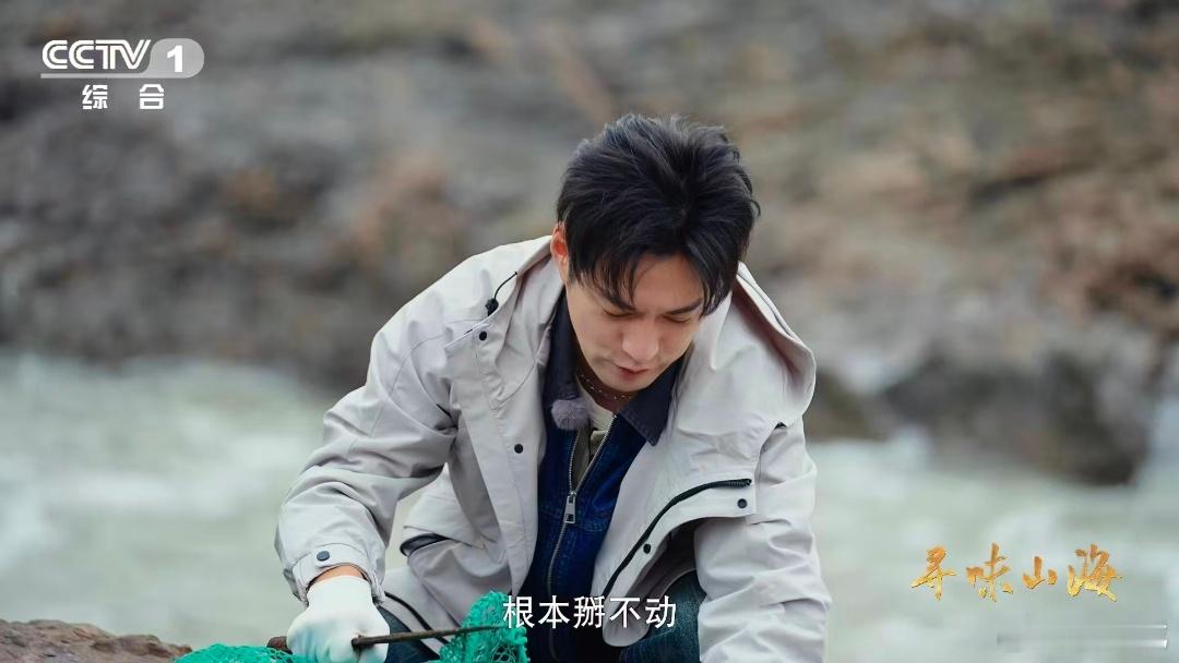 这看似怪石的食材，长在面朝大海的岩石，和礁石傻傻分不清。想必味道有大海的灵动鲜美