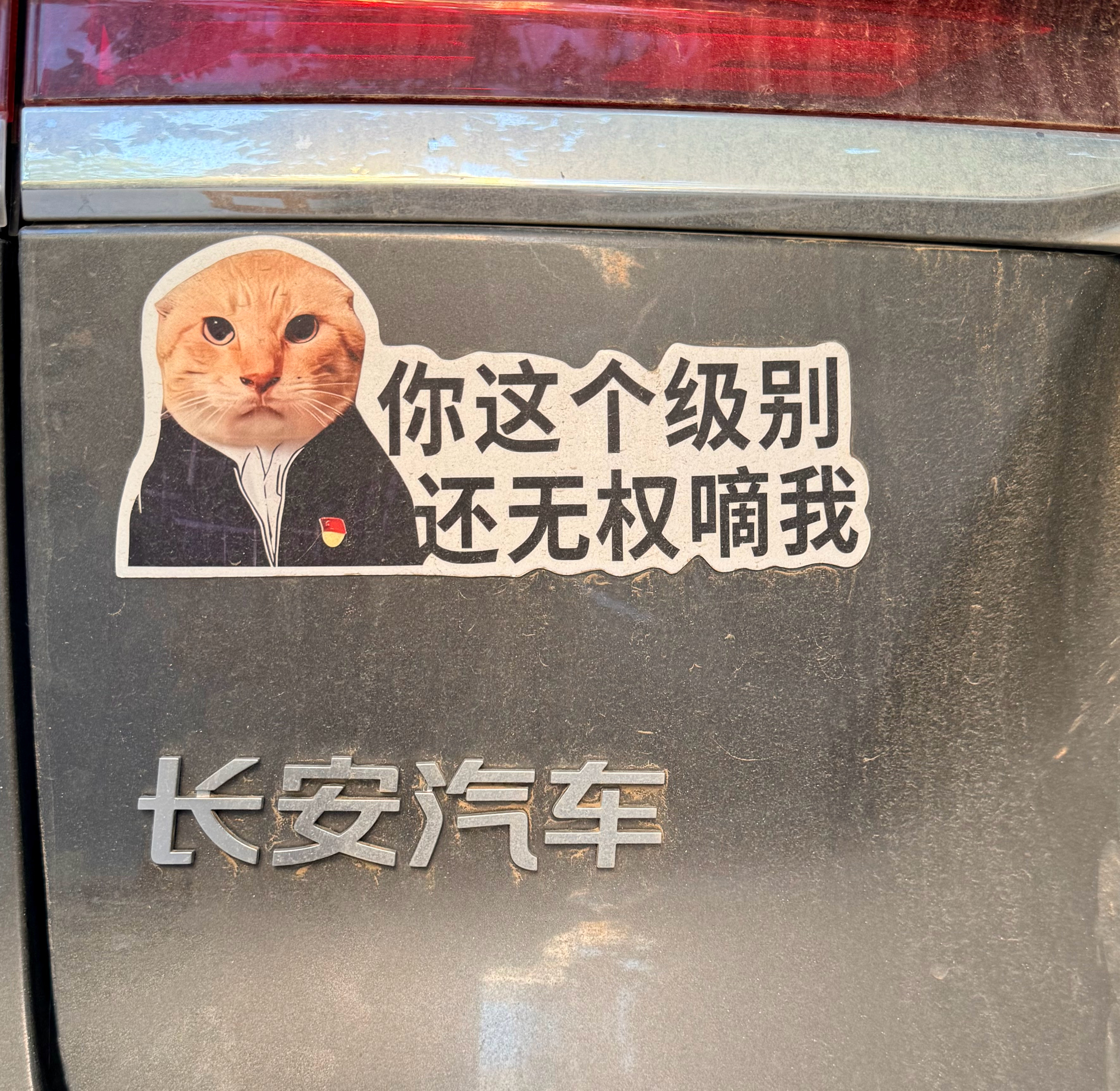 给你牛坏了是不？！ 
