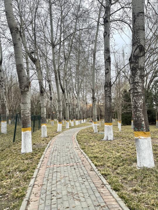 发热门诊量140
