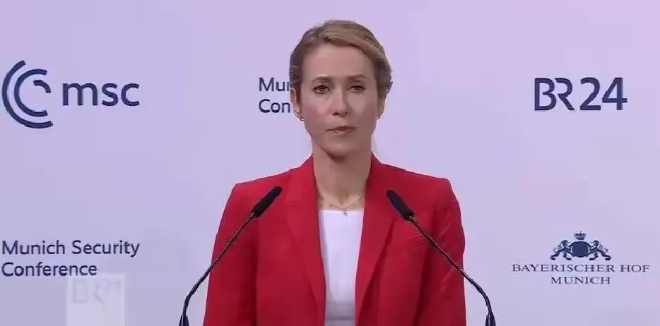 笑死人，美国主持人接触欧盟外长后吐槽称“我不理解为什么这么愚蠢的人竟还能在欧洲当