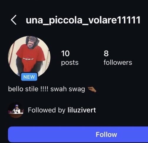 Lil Uzi Vert 现在关注了2个声称即将发布新专辑的账号  ‼️ 第一个