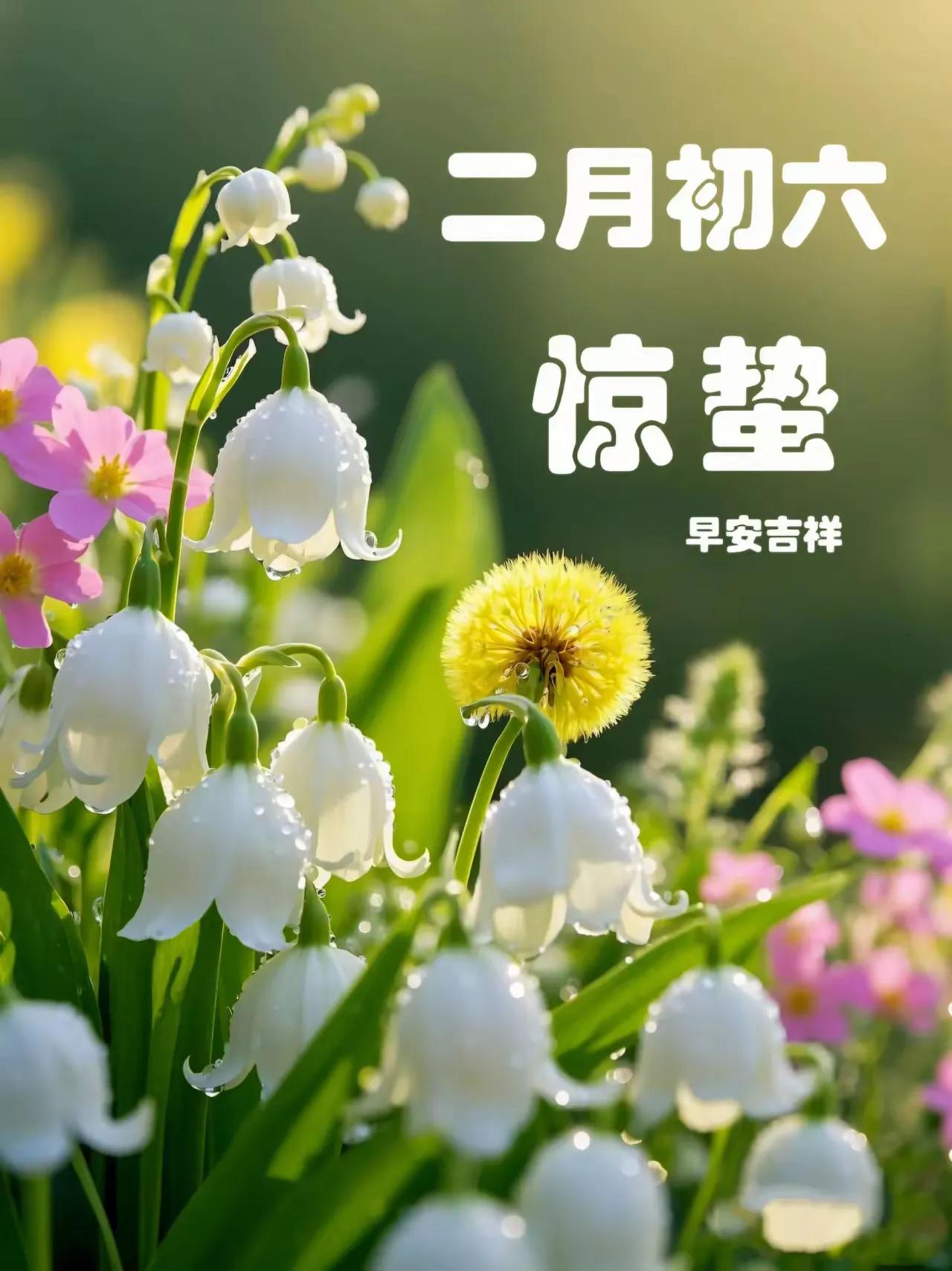 初春惊蛰，万物复苏，野火烧不尽，春风吹又生！！！！