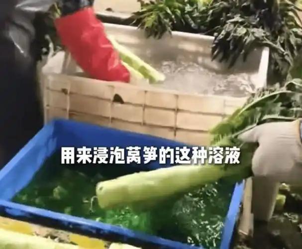 11.8 吨蔬菜刚运到仓库，就被全部查封销毁，背后的真相比农药残留吓人多了。
