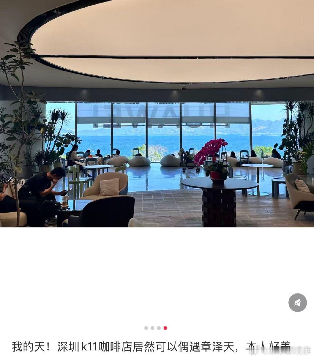 咖啡店偶遇章泽天咖啡店偶遇章泽天！深圳咖啡店偶遇章泽天
