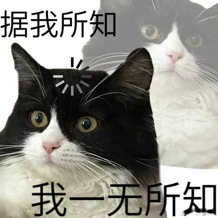 维斯塔潘称要取胜除非对手退赛，这样啊，是什么比赛啊 ​​​