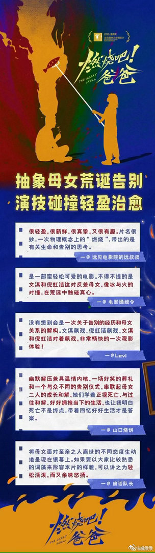 电影燃烧吧爸爸 这原创剧本真让人惊喜！大概能猜到故事走向，但那些生活化小细节太打