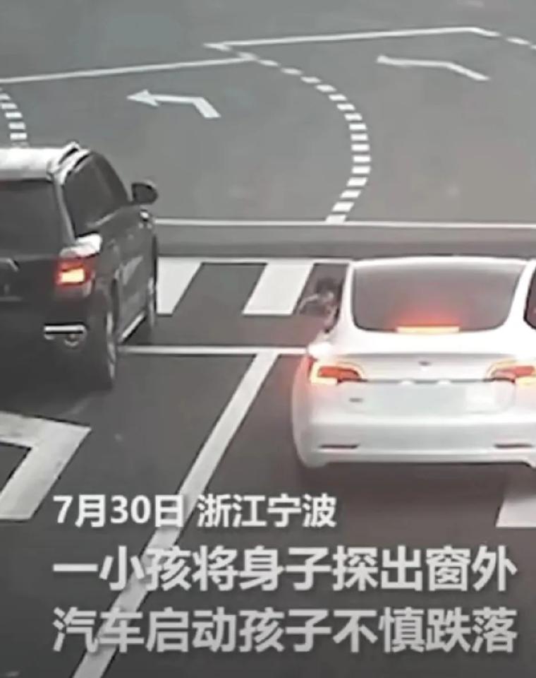 “你的违章全国人民替你买单了！” 浙江一路口，所有车辆都有序的等待红灯，一小孩将