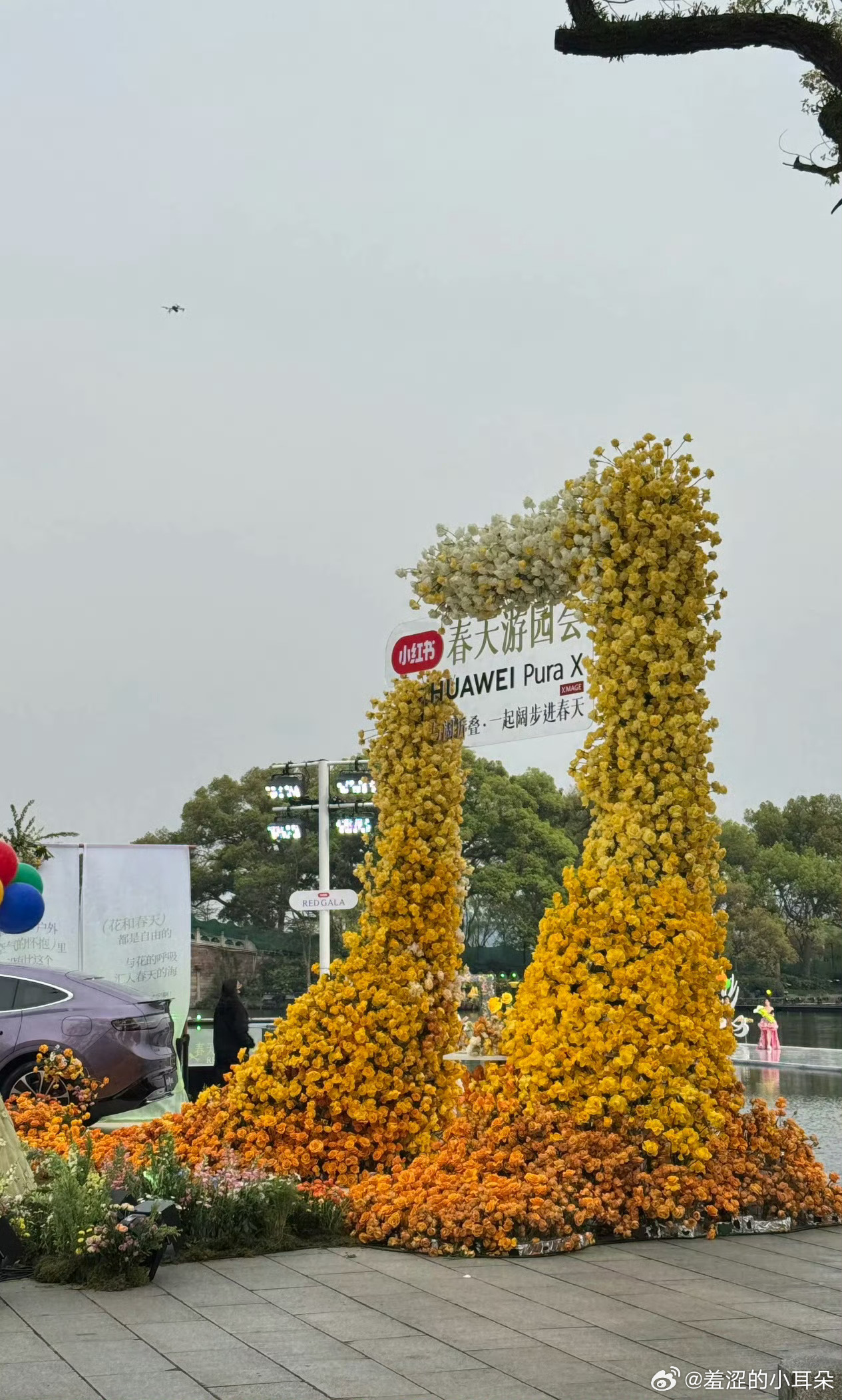 去年的小红书之夜现场是P1—P4这样的，今年怎么就成了这样？ 